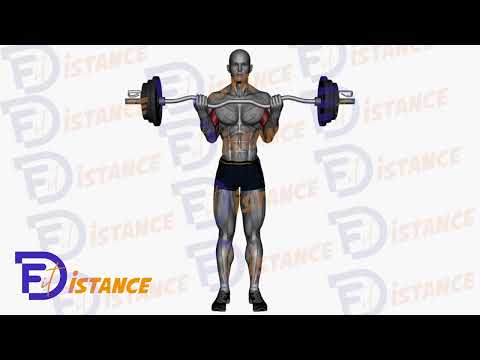 Exercice Curls avec barre EZ