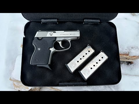 $300 Used PERFECT All Solid Metal Pocket Pistol - North American Arms Guardian