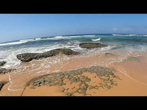 Shelly Beach (Central Coast NSW)