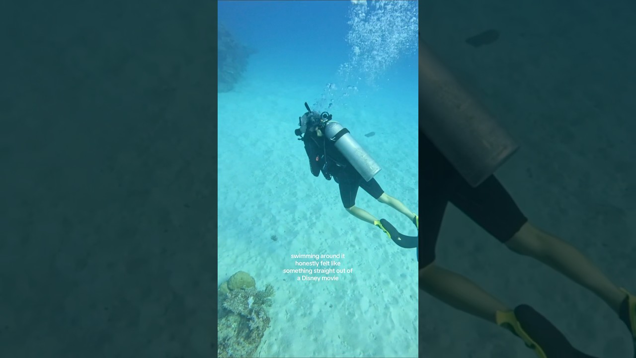 YouTube Short thumbnail