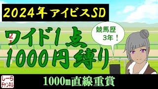 【2024年アイビスSD】今年の直線番長は誰か【しーらch】