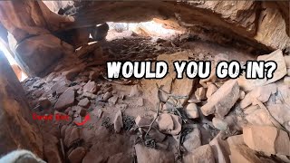 ネズミがうようよいる洞窟を這って、未踏の古代遺跡にたどり着きました。