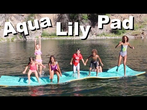 Aqua Lily Pad