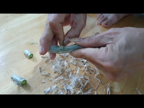 Kỹ Thuật Nhân Keiki Phi Điệp Cụ Thể Từng Bước