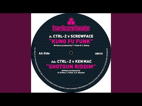 Kung Fu Funk (Original Mix)