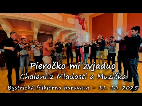 🦚 Pieročko mi zvjaduo – Chalani z Mladosti a Muzička