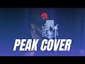 Raahiem -- Peak (Fed Up)  COVER