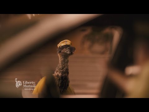 Parking | LiMu Emu & Doug | Liberty Mutual Insurance Commercial