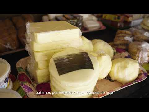 miPáramo Emprende - Lácteos La Bonanza - Cácota, Norte de Santander