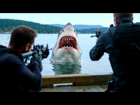 FILME FRAMBOESAS and Procedimentos de filme