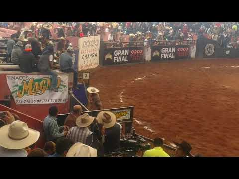 Exelencia Monta de toro (Tres Potrillos)