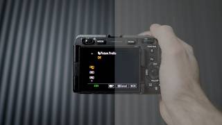 Why PICTURE PROFILES Matter!