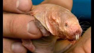 illegal 2001 - Onanie