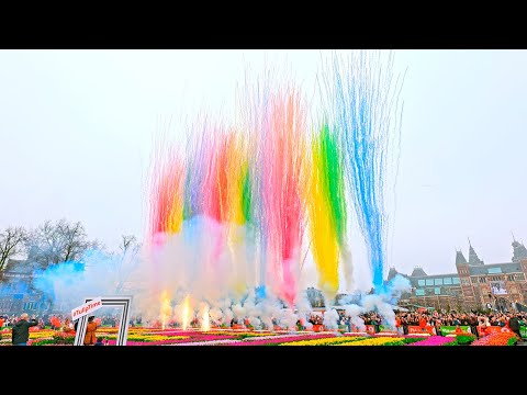 335. Caffero - Daylight show Nationale Tulpendag 🌷 Amsterdam 2024