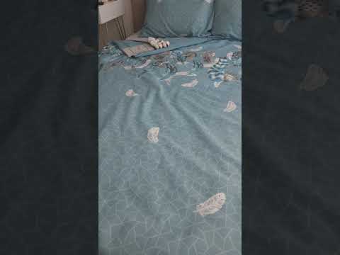 Миниатюра изображения товара Комплект постельного белья Блакiт Феникс Евро 70х70 41261/0 / 658401/457985 К