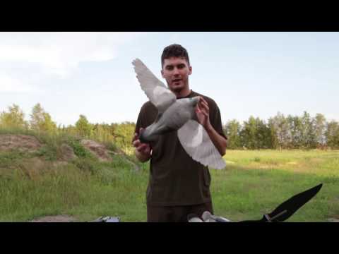 Kosmaty #1.2. Polowanie na grzywacze - karuzele i tyczki.