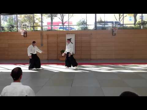 Aikido Milan Miletic