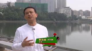 土生葡菜- 鹹蝦酸子猪肉 Porco Balichão Tamarindo