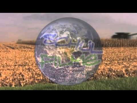 Schulfilme im Netz: Biologie: Getreide