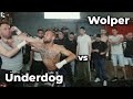 Underdog vs Wolper