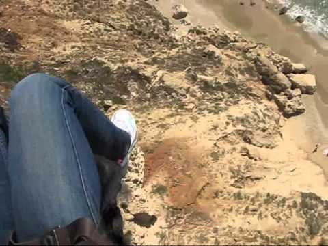 תמונה של דקל מצנחי רחיפה