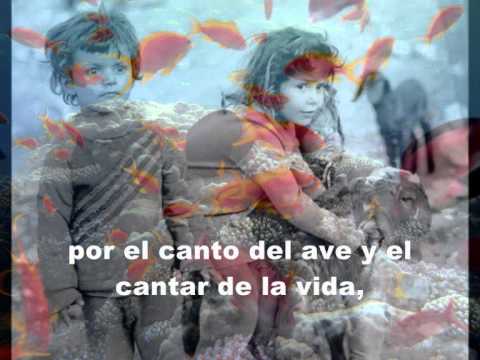 Salmo De La Creación - Cristobal Fones
