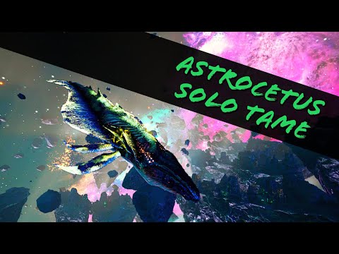 HOW TO SOLO TAME AN ASTROCETUS (SPACE WHALE)