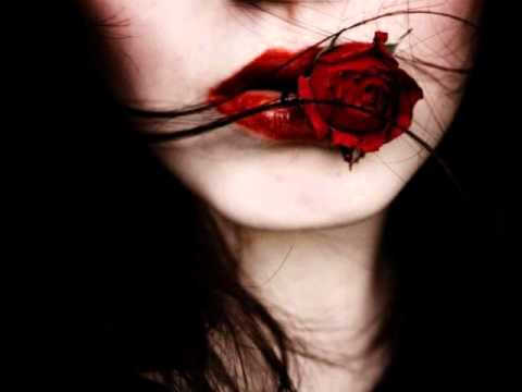 Metro Luminal-Kord Tuleb Tuul( Ainult rottidele)