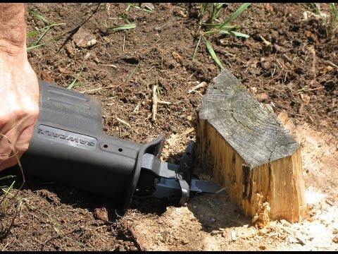 download lagu mp3 mp4 Alternatives To Stump Grinding, download lagu Alternatives To Stump Grinding gratis, unduh video klip Alternatives To Stump Grinding