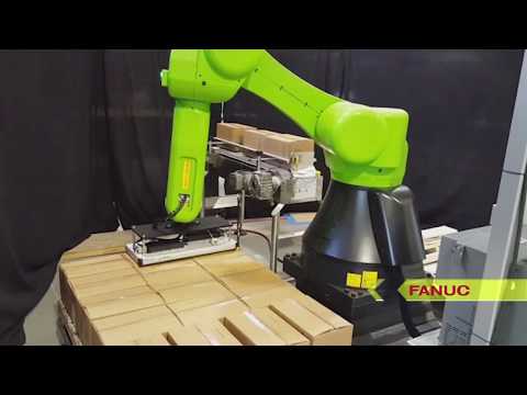 Collaborative Dual Palletizing Cell with FANUC CR-35iA Collaborative Robot - ESS Technologies