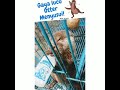 Gimana Ya Otter 4 Bulan Menyusui