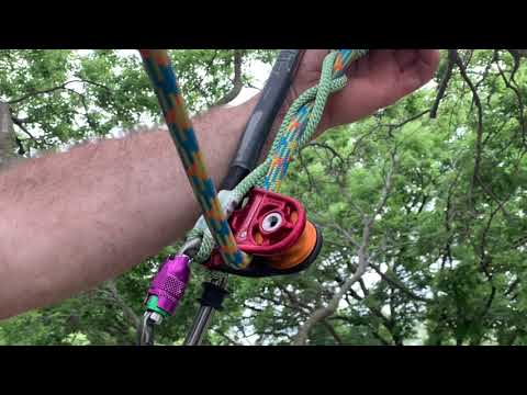 DMM Hitch Climber Eccentric | TreeStuff DMM Hitch Climber Eccentric | TreeStuff