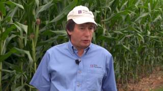 Ammonium Sulfate for High Yield Systems Part Two