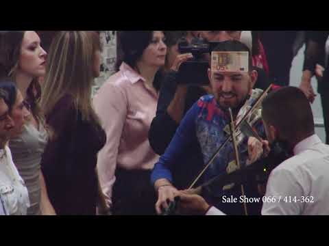 Sale Show i Stefan - 2 violine ruse restoran a 2 sestre vode kolo