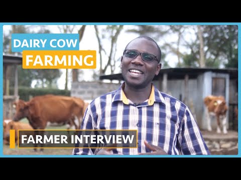 Dairy Cow Farming Lesson 1 Introduction to Dairy Farming Course