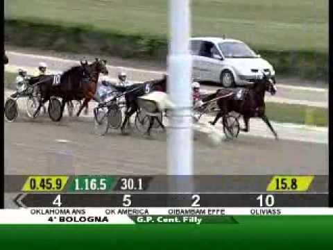 23/09/2012, Bologna , Premio Gp.continentale-filly