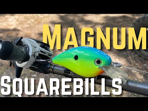 Bigger is Better for Squarebills in the Summer! (Bass Fishing Tip) Ep. 155