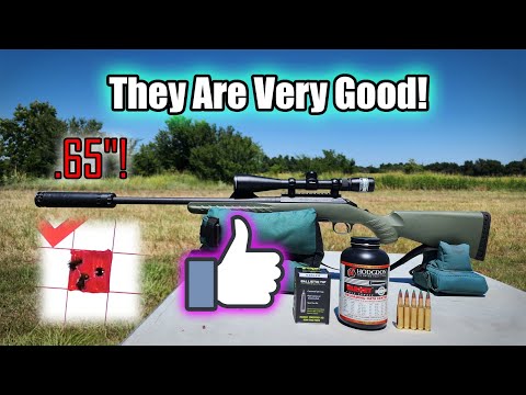 Testing Nosler Ballistic Tip Hunting Handloads in the Ruger American Predator!