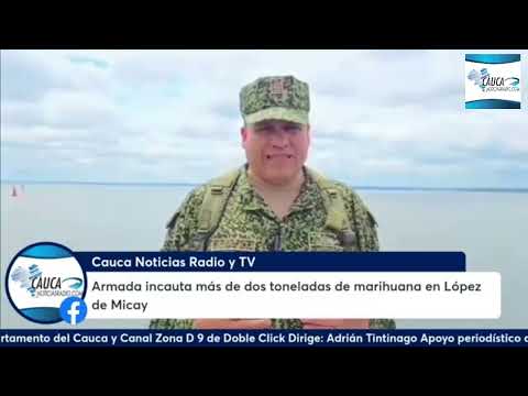 Armada incauta más de dos toneladas de marihuana en López de Micay, Cauca