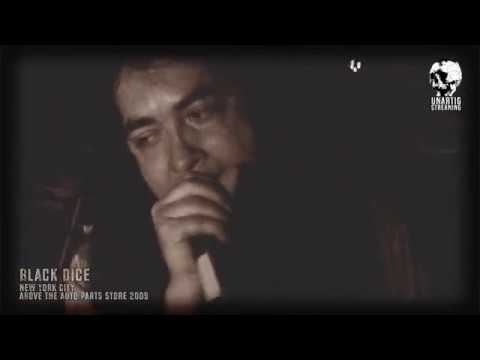 Black Dice live at Above the Auto Parts Store on October 30, 2009