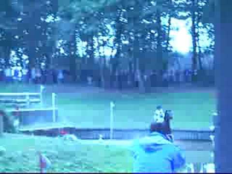 Ingrid Klimke/ FRH Butts Abraxxas