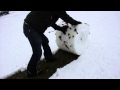 Snow shoveling West Virginia style.