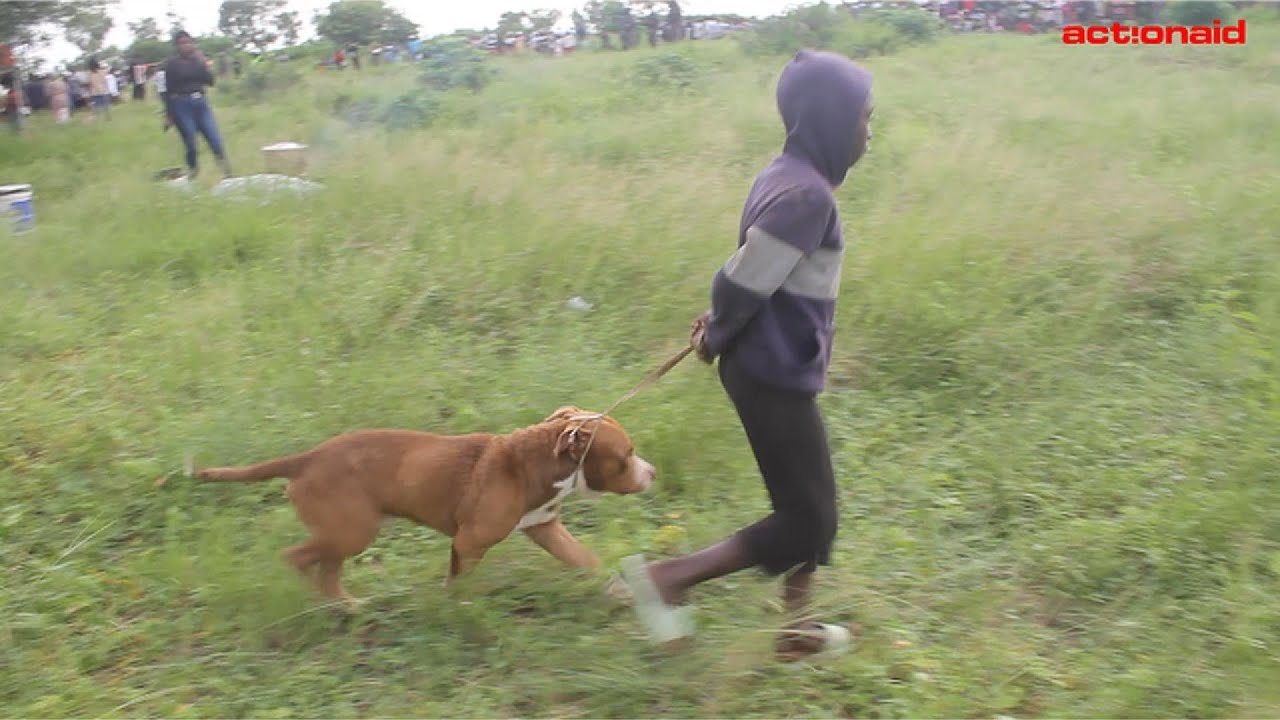 Cheias na Manhiça: Júnior salva o cão Hulk