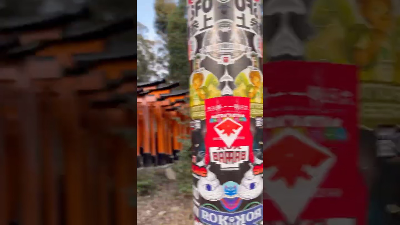 京都→東京旅行を15秒でまとめてみた #旅行 #旅行vlog #編集