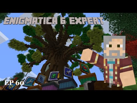 E6E-60 : Enigmatica 6 Expert World Tour