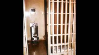 I ran over the taco bell dog