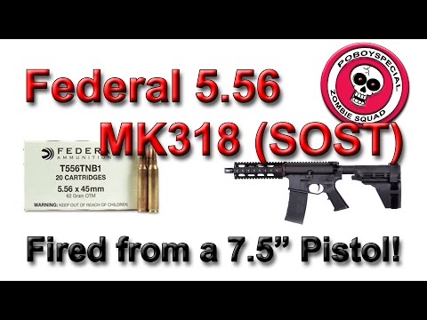 Federal MK 318 Mod 0 (SOST) 62g  from a 7.5 inch barrel
