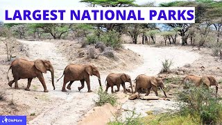 Top 10 Largest National Parks and Game Reserves  in Africa