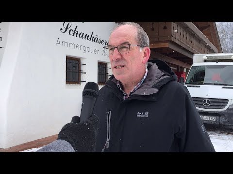 Schaukäserei Ammergauer Alpen setzt sich für Murnau-Werdenfelser Rinderrasse ein