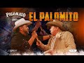 Palomazo Rosendo Cantu Ft El Mimoso - El Palomito ( Video Oficial )